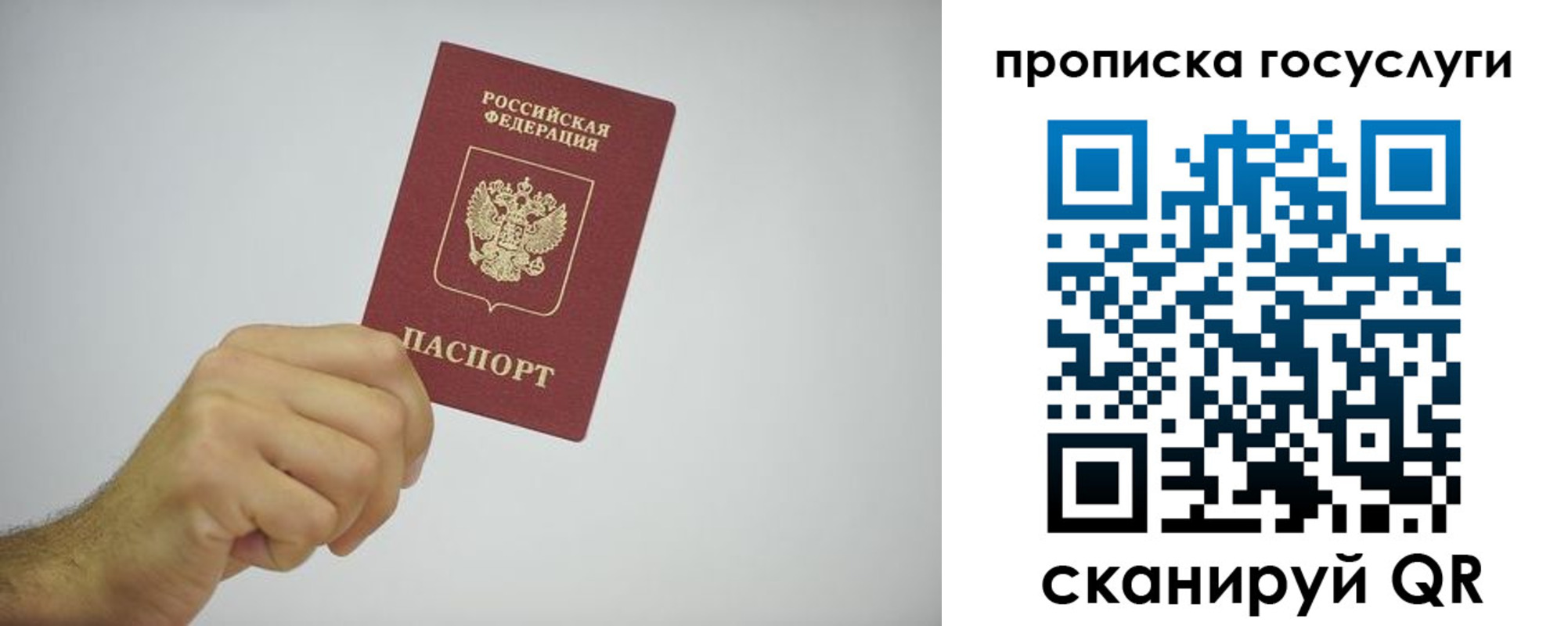 прописка законно в Борзе